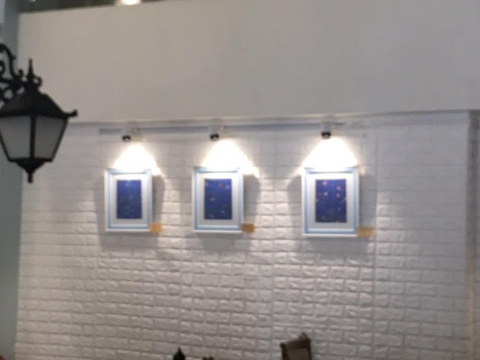 Solo Show at Connaught Place, New Delhi, Jan 2019