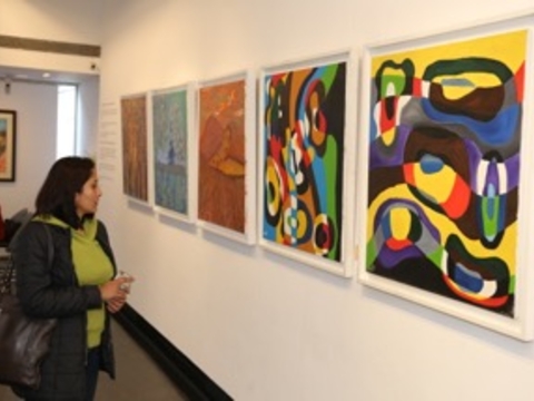 Solo Art Show - Alliance Francaise , New Delhi, Jan 2016
